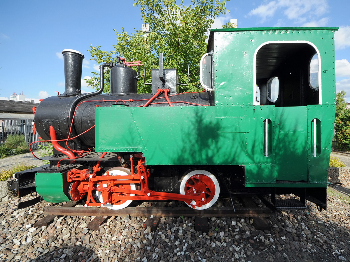 Die Dampflokomotive T49/Rys im Eisenbahnmuseum Warschau (August 2011)