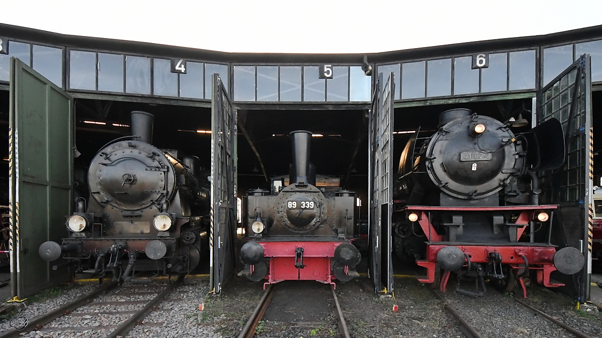 Die Dampflokomotiven 4981, 89 339 & 41 024 Mitte September 2019 im Eisenbahnmuseum Darmstadt-Kranichstein.