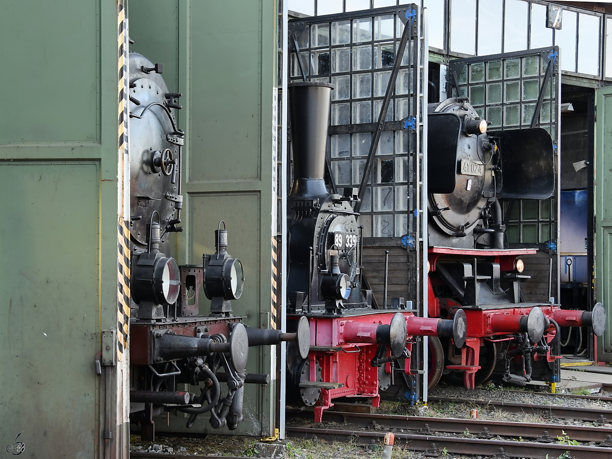 Die Dampflokomotiven 4981, 89 339 & 41 024 Mitte September 2019 im Eisenbahnmuseum Darmstadt-Kranichstein.