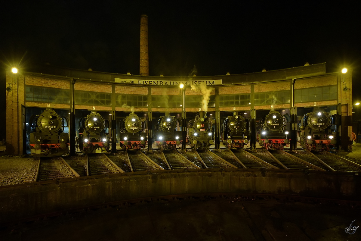 Die Dampflokomotiven 50 3648-8, 52 8131-6, 50 3552-2, 03 1010, 354 195, 01 137, 35 1097-1 & 52 8079-7 Anfang April 2017 im Eisenbahnmuseum Dresden.