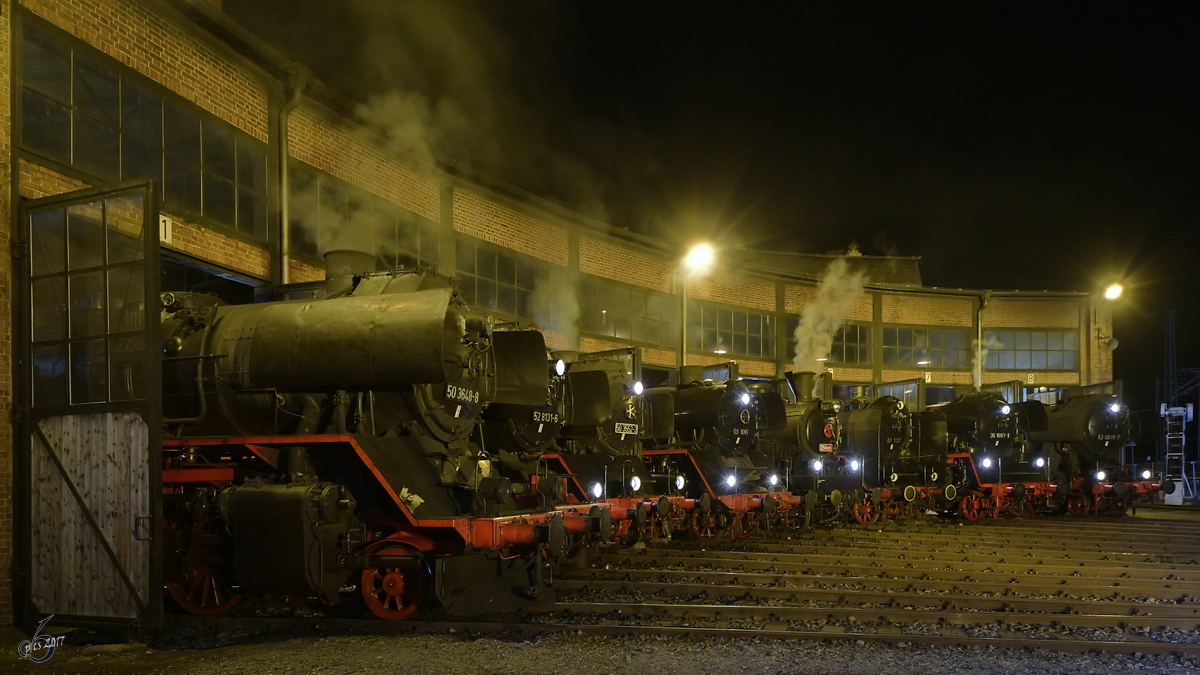 Die Dampflokomotiven 50 3648-8, 52 8131-6, 50 3552-2, 03 1010, 354 195, 01 137, 35 1097-1 & 52 8079-7 Anfang April 2017 im Eisenbahnmuseum Dresden.