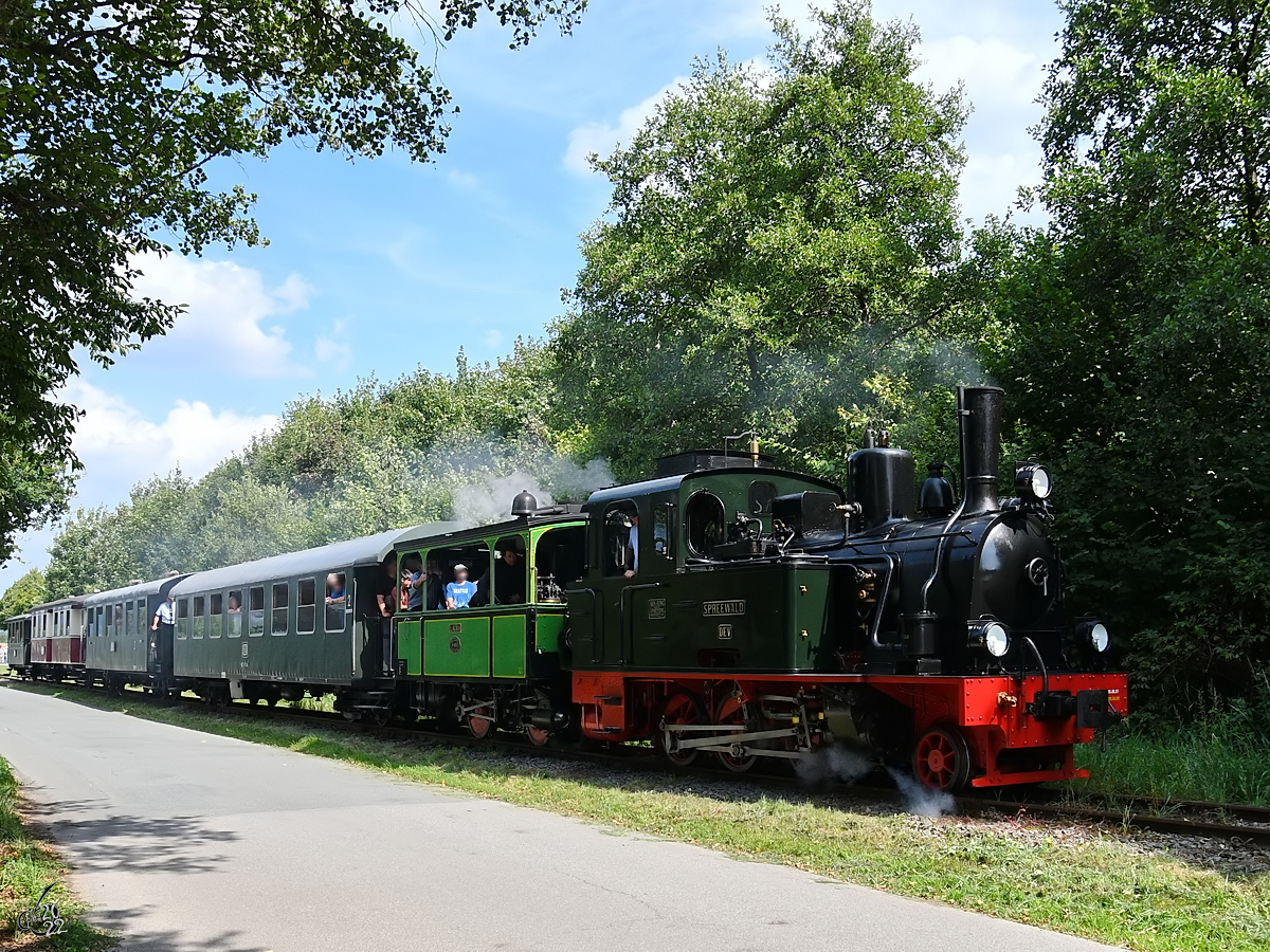Die Dampflokomotiven  Spreewald  und  Laura  ziehen einen Personenzug zum Bahnhof in Hüinghausen. (Juli 2022)