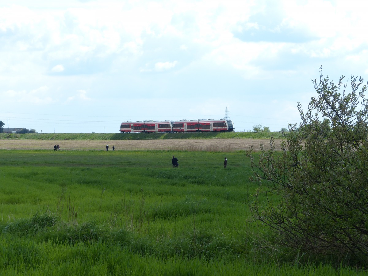 Die Dampflokparade in Wolsztyn ist vorbei, der Regionalzug in Richtung Poznan erzeugt nur wenig Interesse bei den Fotografen im Feld. 3.5.2014