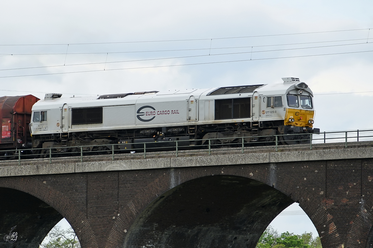 Die Diesellokomotive 077 025-0 war Anfang Mai 2021 auf der Hochfelder Eisenbahnbrücke in Duisburg zu sehen.