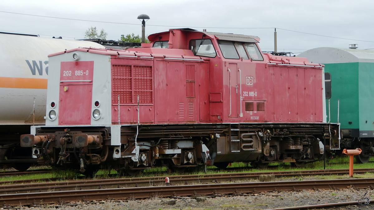 Die Diesellokomotive 202 885-0 war im September 2020 auf dem Gelände des sächsischen Eisenbahnmuseums Chemnitz-Hilbersdorf zu sehen.