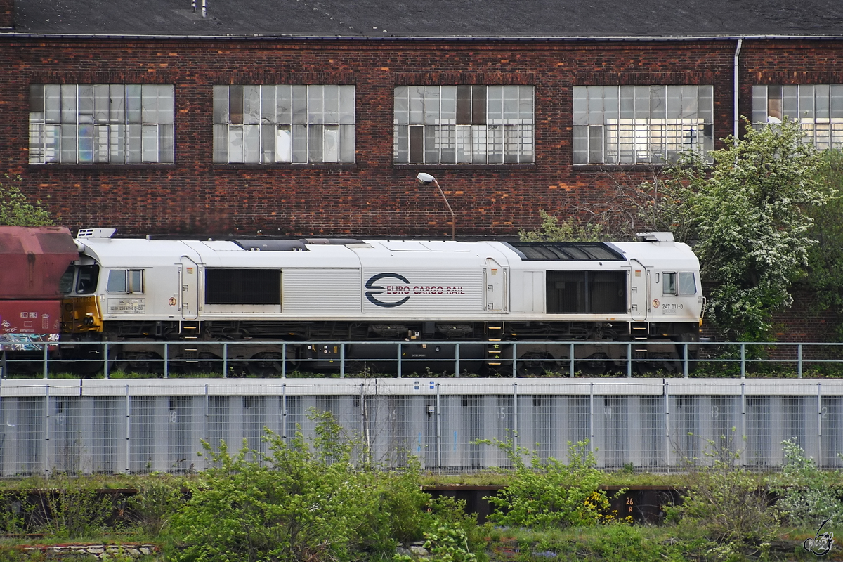Die Diesellokomotive 247 011-0 war Anfang Mai 2021 in Duisburg-Wanheimerort zu sehen.