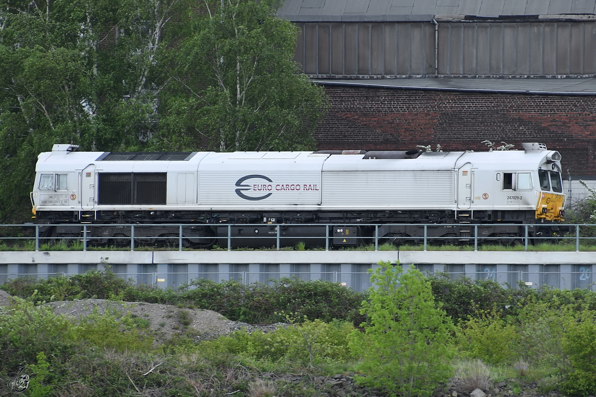 Die Diesellokomotive 247029-2 auf Solofahrt, so gesehen Anfang Mai 2021 in Duisburg-Wanheimerort.
