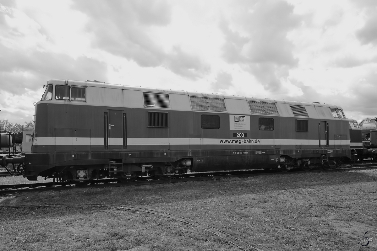 Die Diesellokomotive MEG 203 steht im Eisenbahnmuseum Weimar. (August 2018)