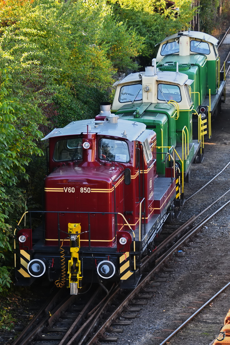 Die Diesellokomotiven 360 573 (D6), V60 850 und 295 043 waren Teil der Fahrzeugausstellung zum 120-jährigem Jubiläum der Brohltalbahn. (Brohl-Lützing, Oktober 2021)