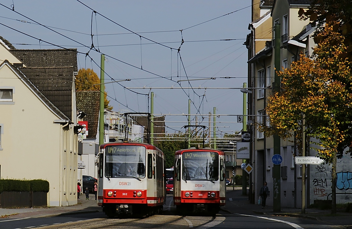 Die Dortmunder B80C/8 362 und 356 begegnen sich am 15.10.2019 auf der Marsbruchstraße in Aplerbeck