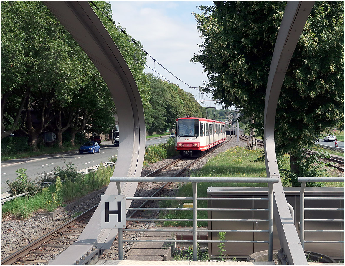 Die Dortmunder U47 im Westfalendamm - 

Blick zwischen zwei der Stahlbögen der Dachkonstruktion der Station Hauptfriedhof auf die Strecke mit einem einfahrenden B80C-Stadtbahnwagen.

21.08.2023 (M)