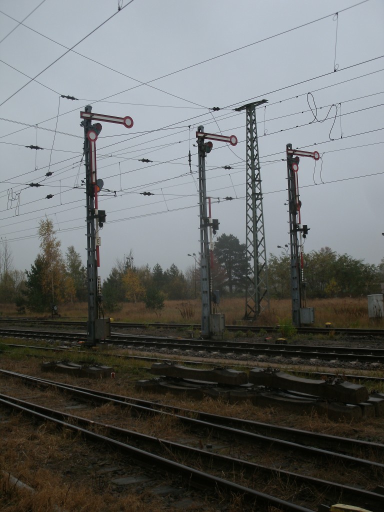 Die drei Ausfahrsignale von Demmin in Richtung Sternfeld(Neubrandenburg)am 02.November 2013.