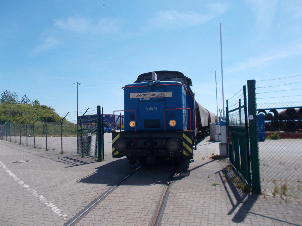 Die von der EGP an Baltic Port Rail vermietete V60 03,am 07.Juni 2016,beim Rangieren von Getreidewagen am Hafentor von Mukran.