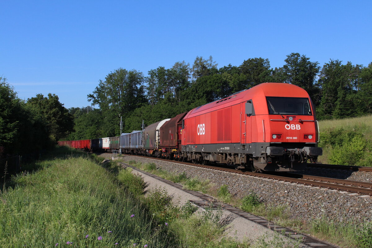 Die ehemalige Haltestelle und Blockstelle Autal zwischen Messendorf und Laßnitzhöhe wurde ab 2010 für Personenverkehr aufgelassen und dafür als Betriebsausweiche ausgebaut um auf der eingleisigen steirischen Ostbahn einen dichteren Takt fahren zu können.
Der vormittägliche von 2016 080 bespannte NG64702 von Graz Vbf nach Gleisdorf steht am 3.6.2022 in Autal und wartet auf die Weiterfahrt.