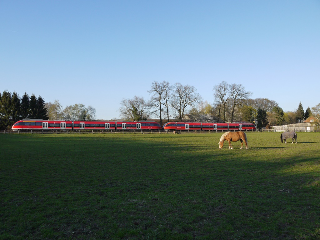 Die Einheit 643 und 644 als Zugnummer 20225 von Enschede nach Münster hier bei der Einfahrsignal an eine Pferdekoppel in Ochtrup. 10.04.2019