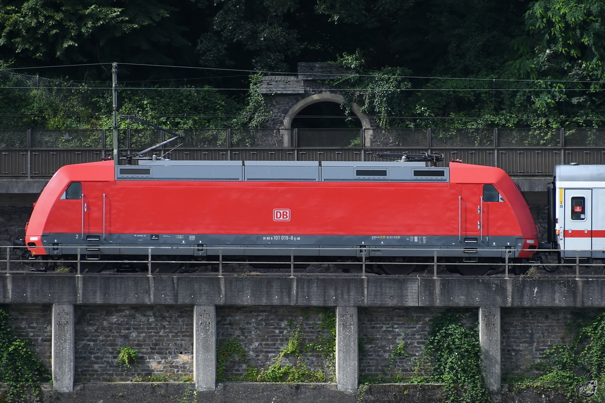 Die Elektrolokomotive 101 019-8 zieht eine IC-Garnitur die linke Rheinstrecke entlang. (Remagen, August 2021)
