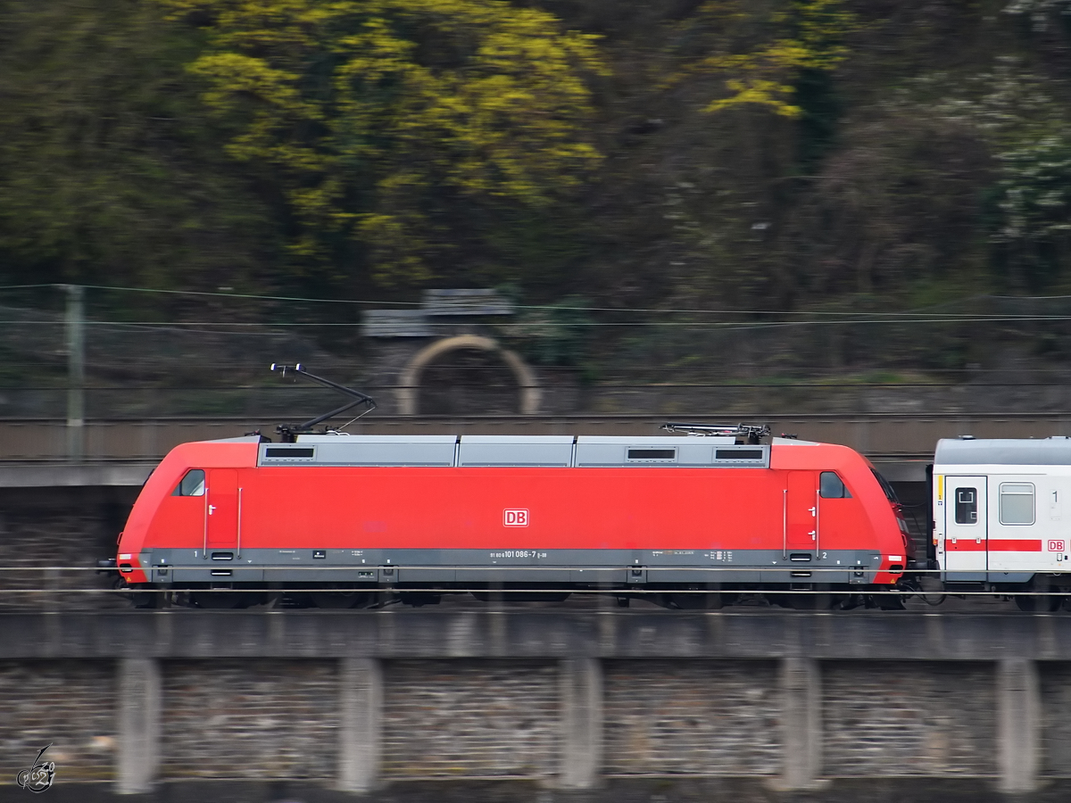 Die Elektrolokomotive 101 086-7 zieht einen IC den Rhein entlang. (Remagen, April 2021)