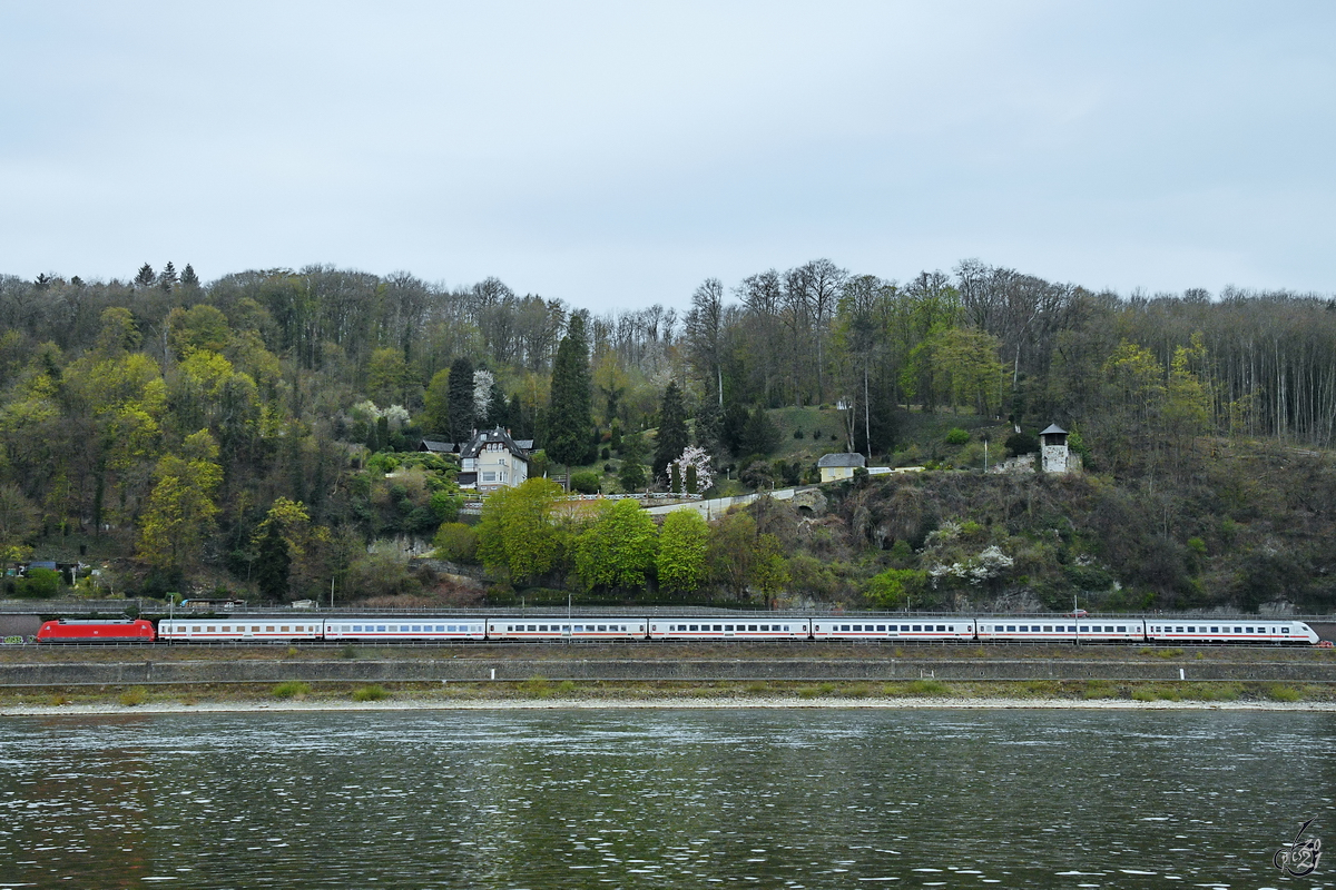Die Elektrolokomotive 101 088-3 zieht einen IC den Rhein entlang. (Remagen, April 2021)