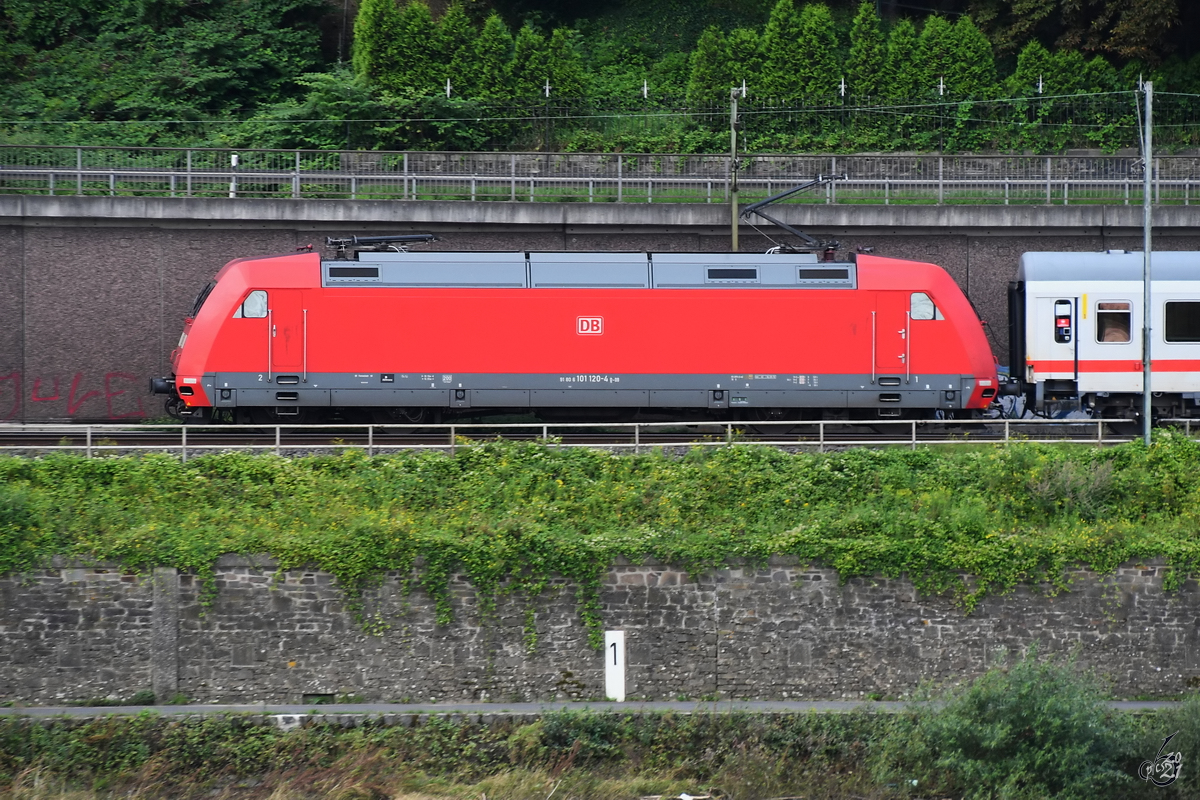 Die Elektrolokomotive 101 120-4 zieht eine IC-Garnitur die linke Rheinstrecke entlang. (Remagen, August 2021)