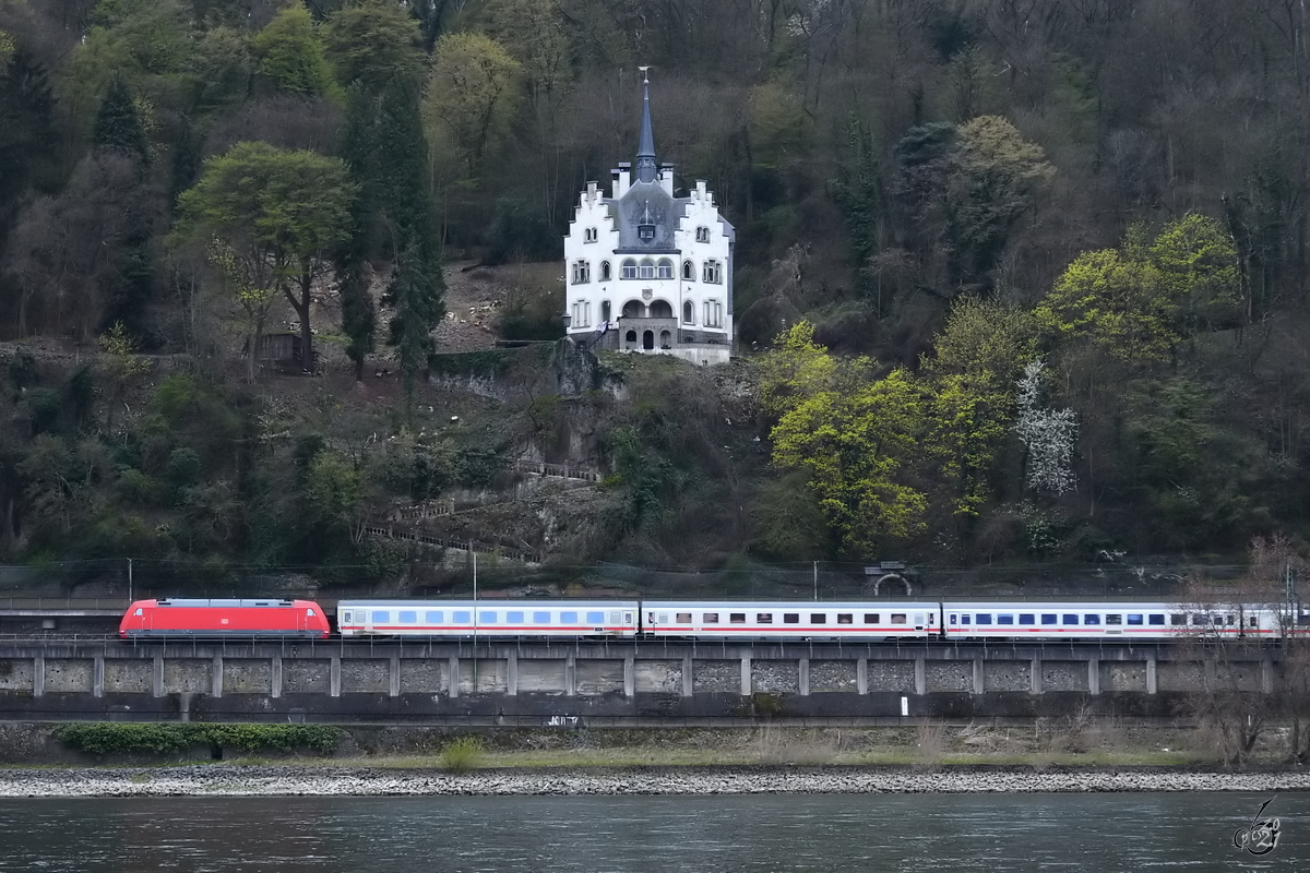Die Elektrolokomotive 101 134-5 zieht einen IC den Rhein entlang. (Remagen, April 2021)