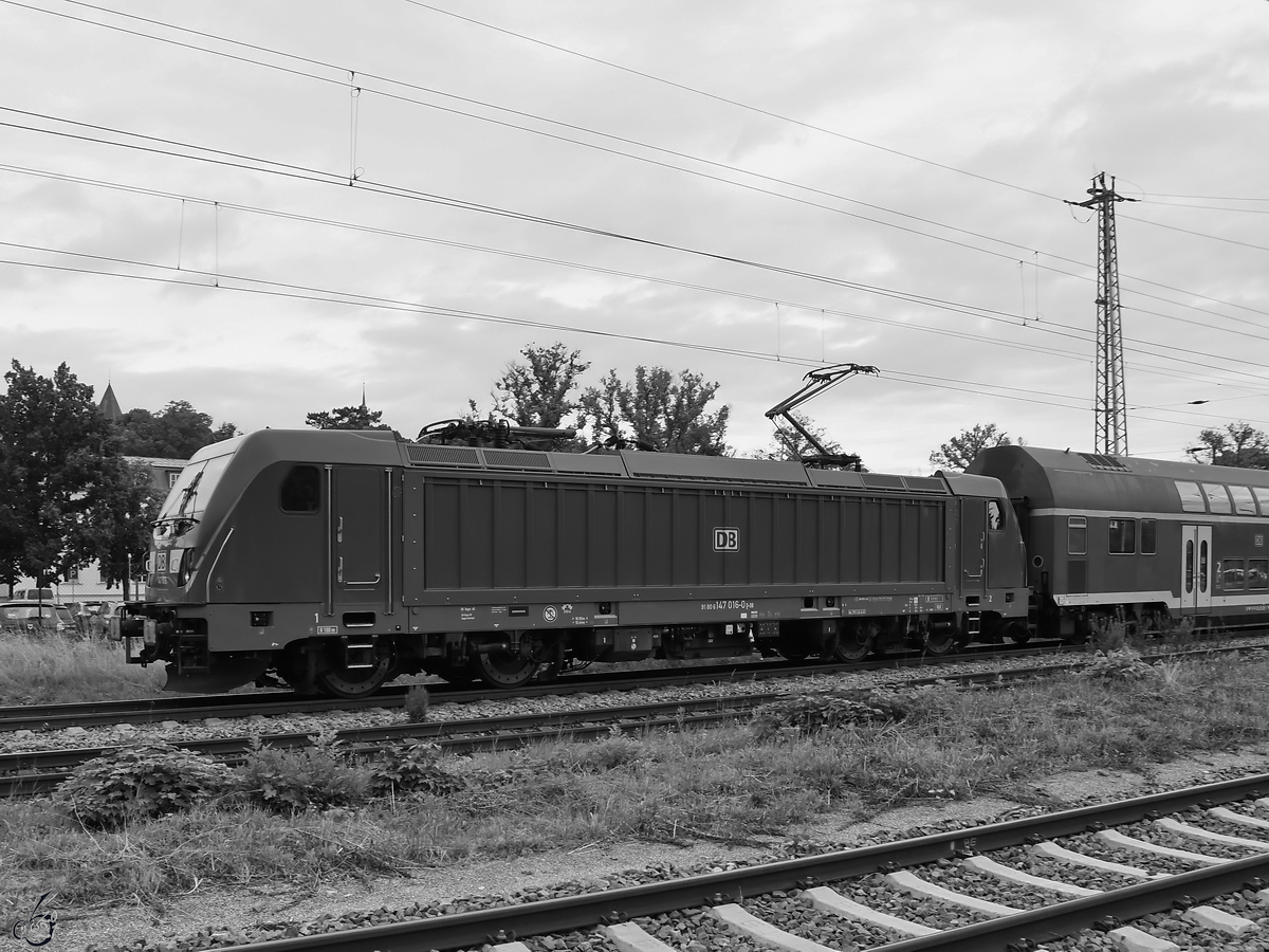 Die Elektrolokomotive 147 016 war Mitte August 2021 in Greifswald unterwegs.