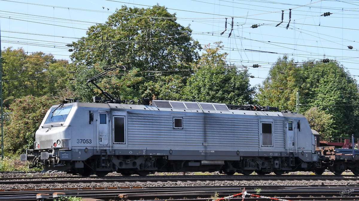 Die Elektrolokomotive 37053 huscht mit einem Güterzug vorbei. (Koblenz, August 2018)