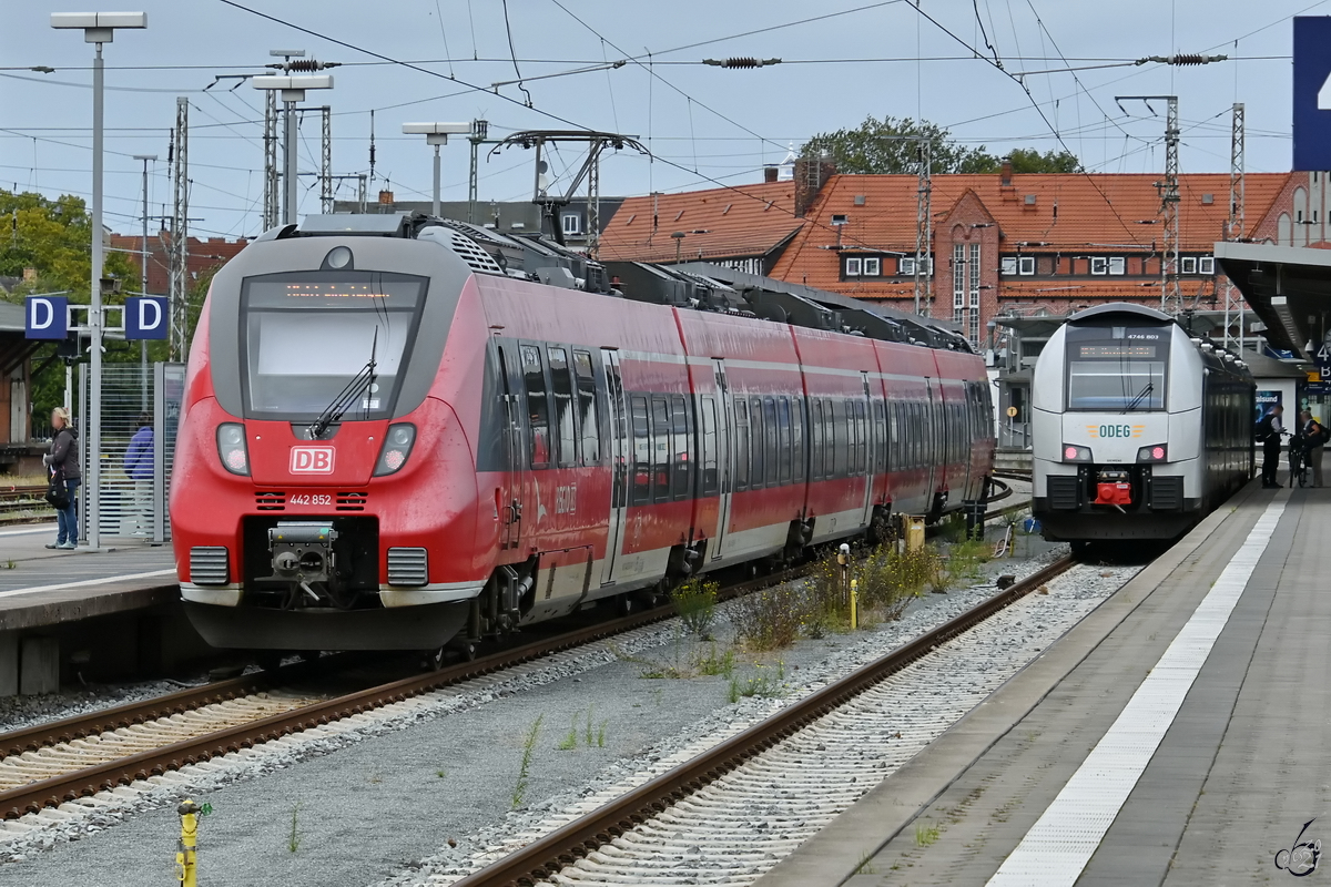 Die Elektrotriebzüge 442 852 und 4746 803 warten hier im August 2021 am Hauptbahnhof in Stralsund auf die Weiterfahrt.