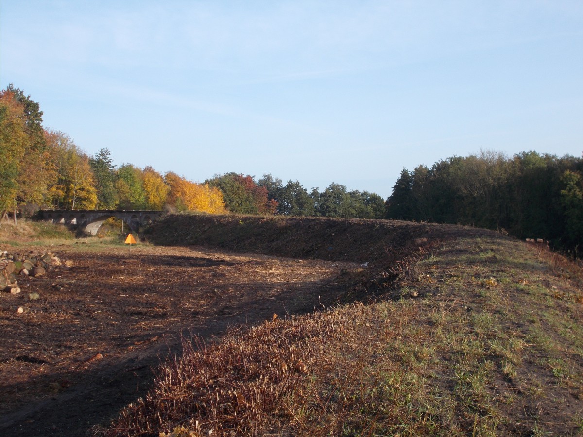 Die frühre Schmalspurauffahrt zum Putbuser Viadukt ist,nachdem Frei holzen und entfernen von Gestrüpp,gut zerkennen.Aufnahme am 26.Oktober 2015.