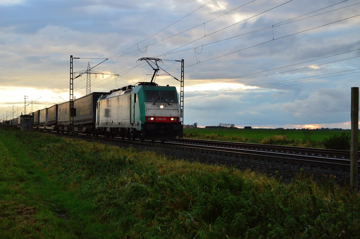 Die für RTX fahrende E186 123 kommt mit einem Containerzug aus Richtung Herrath gen Wickrath gefahren, hier ist sie kurz vorm Bü Am Chur/In der Schley zu sehen. 11.10.2014