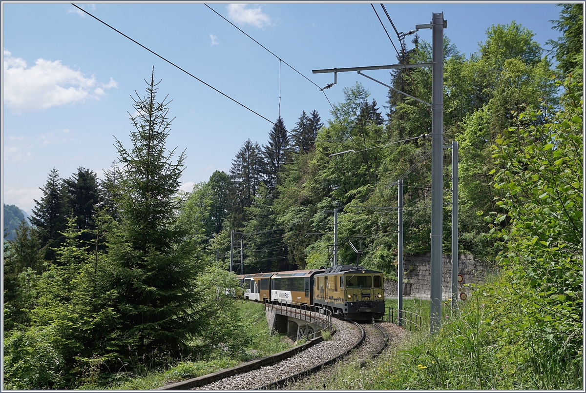 Die GDe 4/4 6003 ist mit ihrem MOB Panoramic Express kurz nach Sendy-Sollard auf dem Weg nach Zweisimmen. 

17. Mai 2020