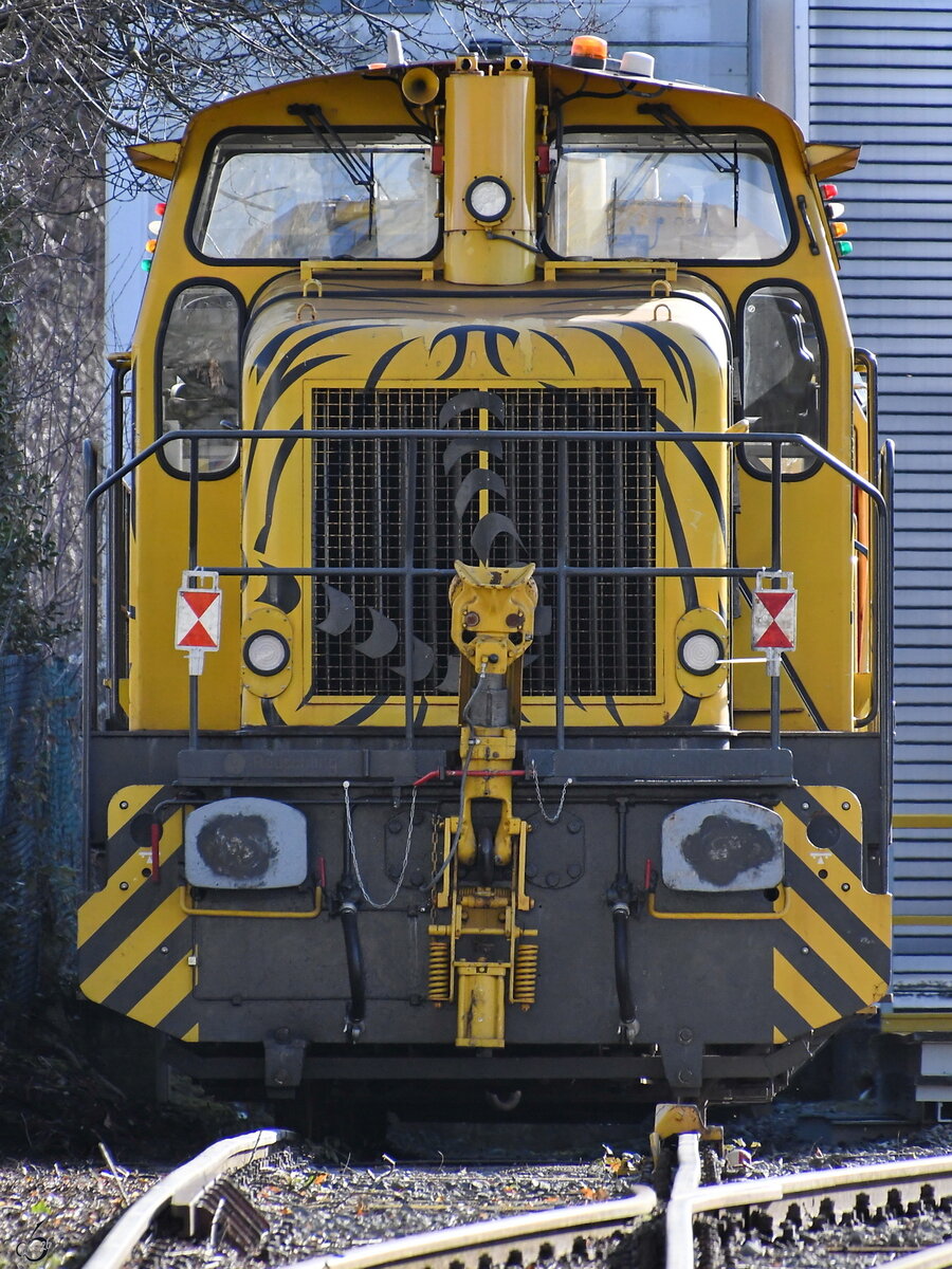 Die getigerte Henschel-Lokomotive war Anfang Februar 2026 wieder in Hattingen zu Gast.(Fotostandort: öffentlicher Fußweg)