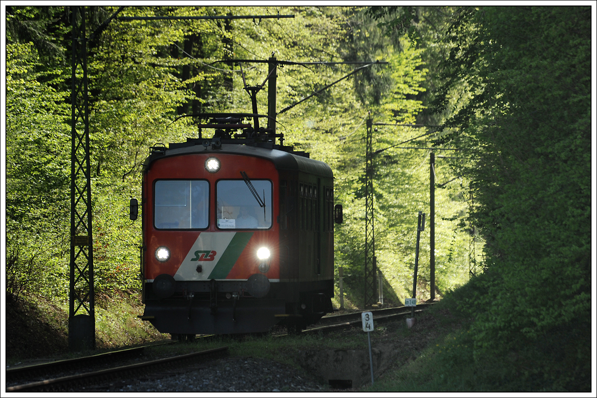 Die Gleichenberger Bahn wird offiziell auch als Dschungelexpress bezeichnet. Hier, kurz vor der Haltestelle Oedt Siedlung macht sie diesem Namen alle Ehre. (22.4.2019)