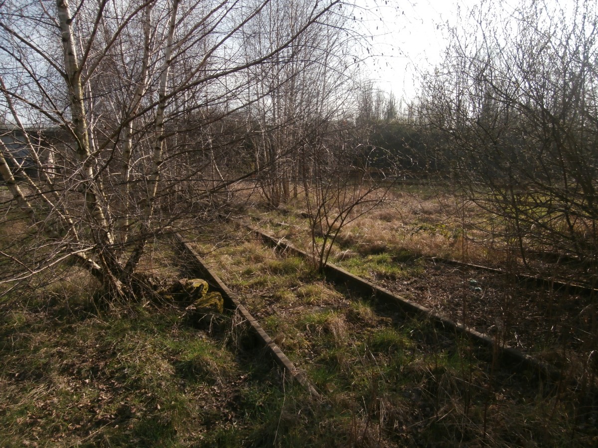 Die Gleise des Anschlussgleises der ehemailgen Maschinenfabrik Buckau sind soeben erst vom anderen Anschlussgleis zu Pfeifer & Langen angezweigt und teilen sich gleich danach nochmal in 2 Gleise. Ich schätze das hier 2 Gleise liegen um ein Gleis zum Wagen abstellen zu haben. Feldwege nahe Lindenstraße am Gewerbegebiet Ost in Grevenbroich am 08.03.2014