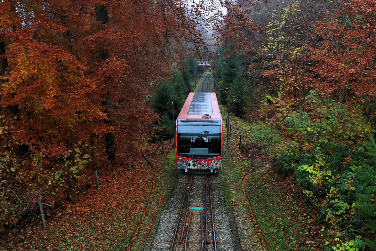 Die Gurtenbahn, die Standseilbahn auf den Berner Hausberg: Wagen 1 im herbstlichen Laub. 21.November 2021 