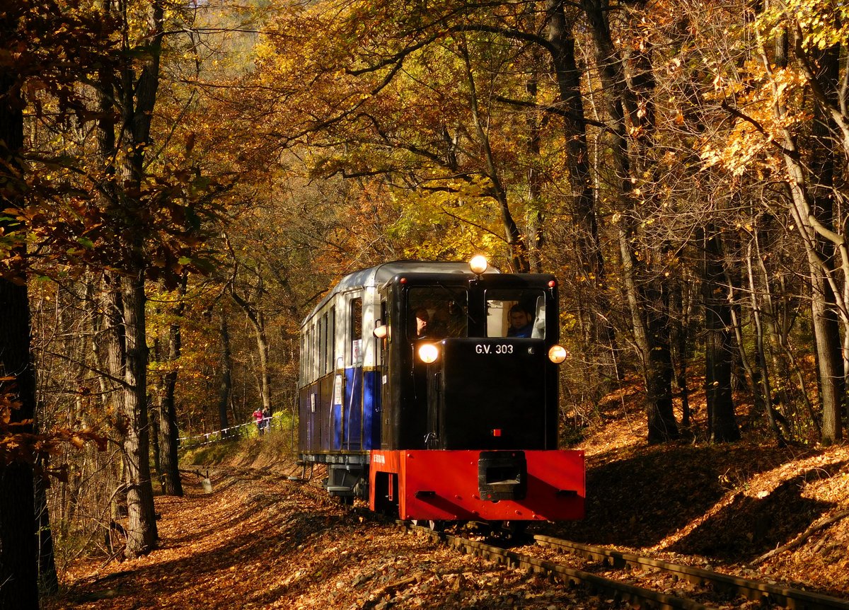 Die G.V.303 mit einem Nostalgiezug in Richtung Hűvösvölgy zwischen Bahnhöfe Szépjuhászné und Hárshegy. Das Bild ist von meines Sohn Márk Németh.
Budapest, 07.11.2020.