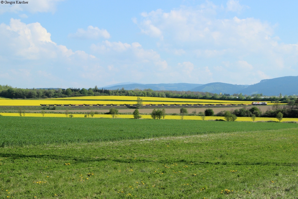 Die HVLE 330.16 mit dem leeren Stahlzug nach Ilsenburg, hier der Zug in seiner vollen Breite bei Goslar mit Blick zum Brocken, 20.04.2014.