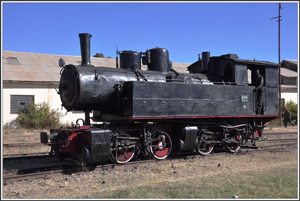 Die kleine Mallet 440.008 in Asmara. (11.12.2014)