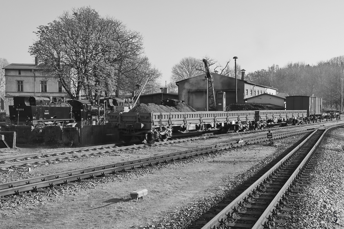 Die Kohleversorgung wird direkt vom Normalspurflachwagen sichergestellt. (Bahnhof Putbus, April 2019)