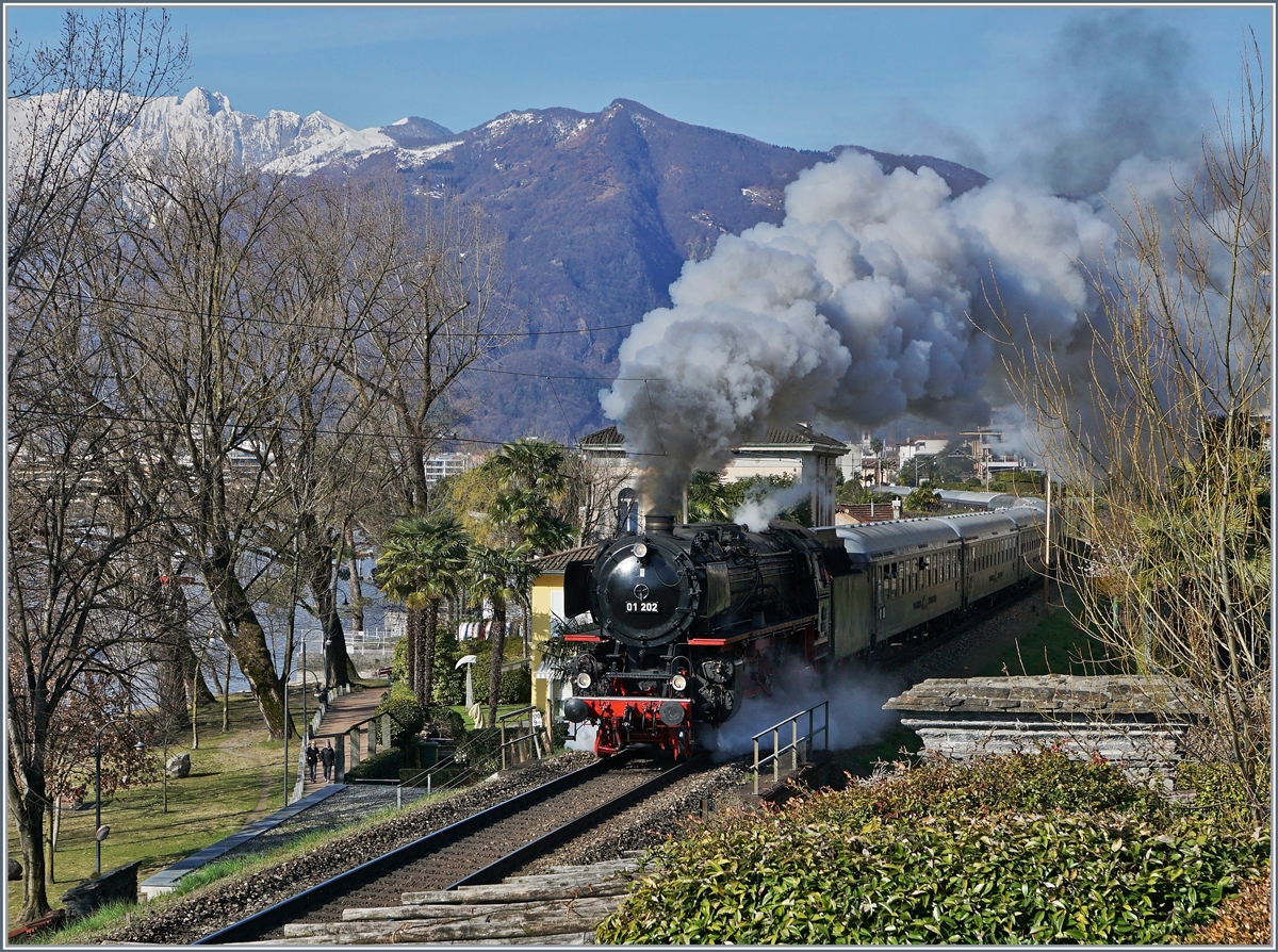 Die lange Reise beginnt: vor dem Hintergrund Schnee bedeckter Berge dampft die 01 202 des  Pacific 01 202  mit ihrem langen Zug an der von Palmen gesäumten Strecke von Locarno Richtung Bellinzona bei Muralto vorbei.
22. März 2018