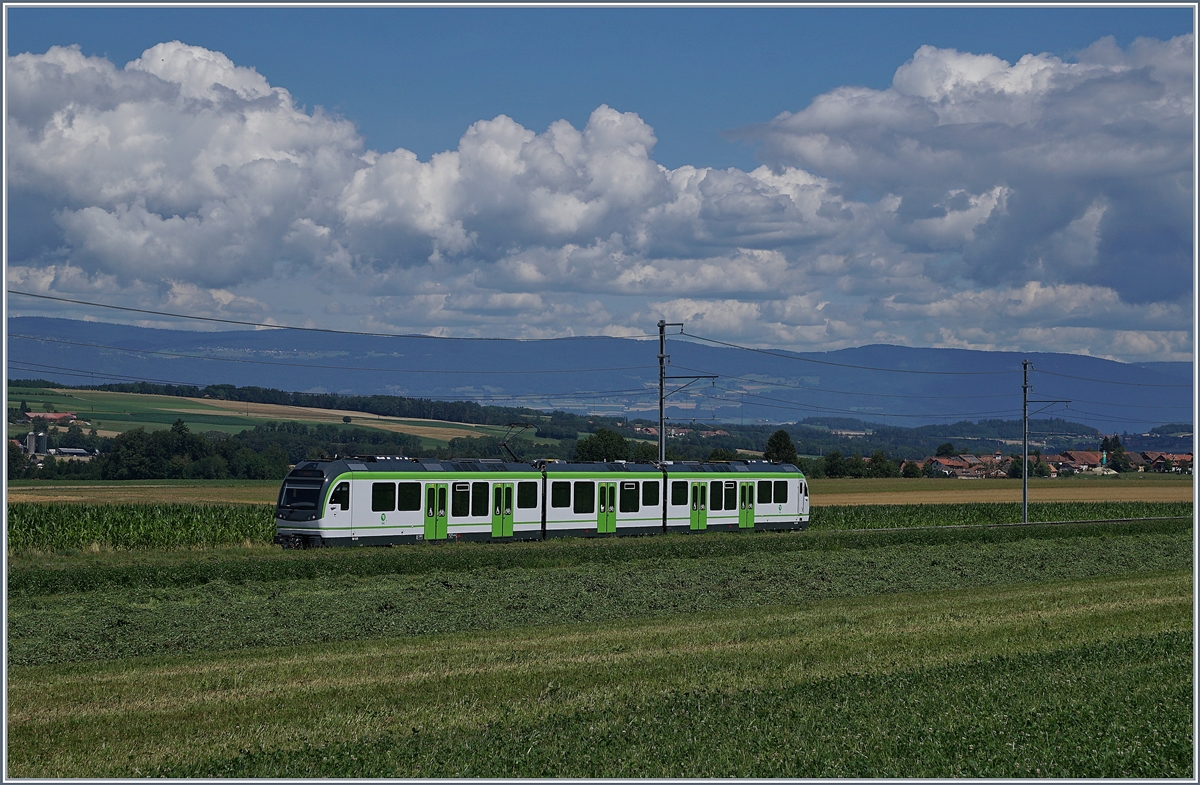 Die LEB wird auch  La Ligne Verte  (Die Grüne Linie) genannt, wobei ein Blick auf die vielen Grüntöne zeigt, dass diese Bezeichnung mehr als passend ist.

Der neue LEB Be 4/8 61 ist von Lausanne Flon kommend zwischen Fey und Bercher unterwegs. 

25. Juli 2020