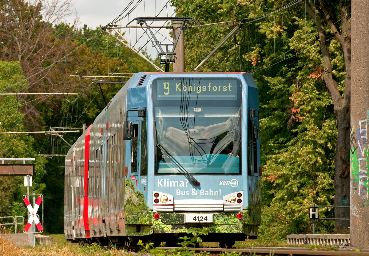 Die Linie 9 der KVB mit der Wagennummer 4124 auf dem Weg nach Königsforst. Aufgenommen am 2.8.2019.