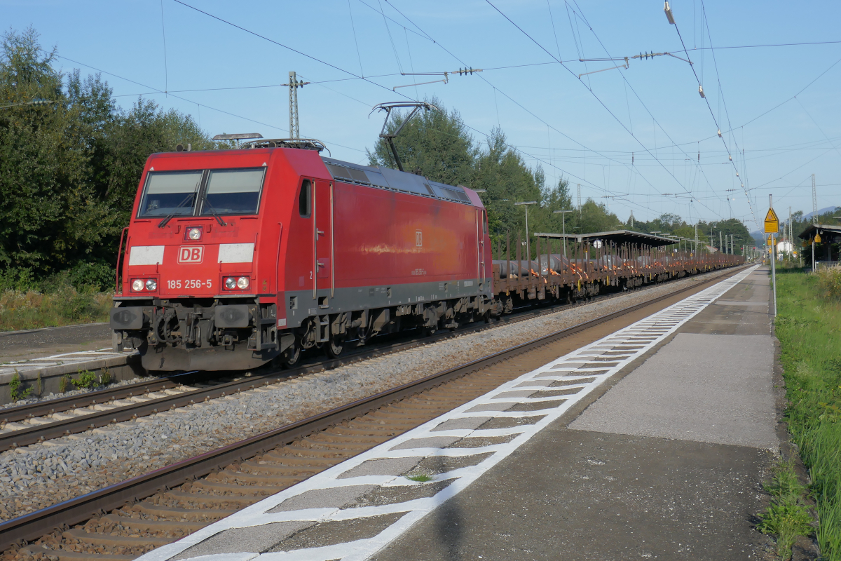 Die Lokomotive 185 256-5 der DBAG durchfährt mit einem mit Stahl-Halbzeugen beladenen Güterzug den Bahnhof Übersee auf ihrem Weg von Freilassing nach München. Es ist der sonnige Abend des Dienstags, 14. September 2021. Der Güterzugverkehr ist generell deutlich schwächer zwischen Freilassing und Rosenheim als zwischen Kufstein und Rosenheim. Innerhalb von drei Stunden war dies erst der zweite Güterzug.