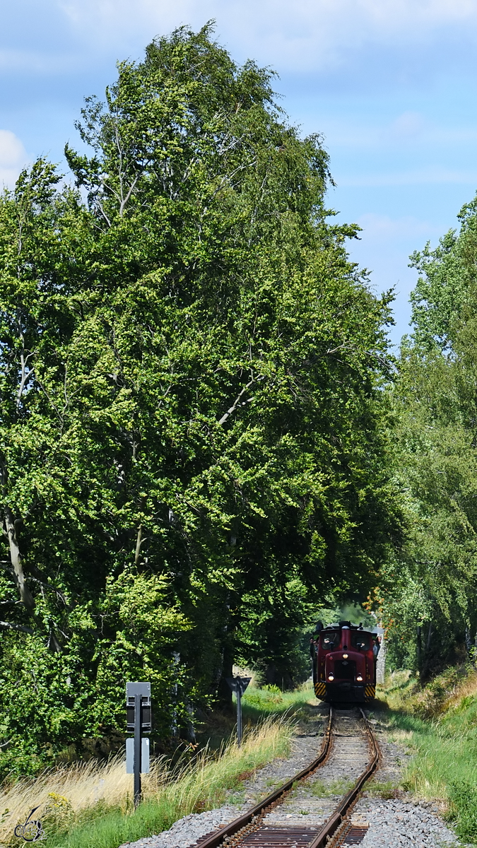 Die Lokomotiven  Nahmer  und  Laura  ziehen einen Personenzug zum Bahnhof in Hüinghausen. (Juli 2022)
