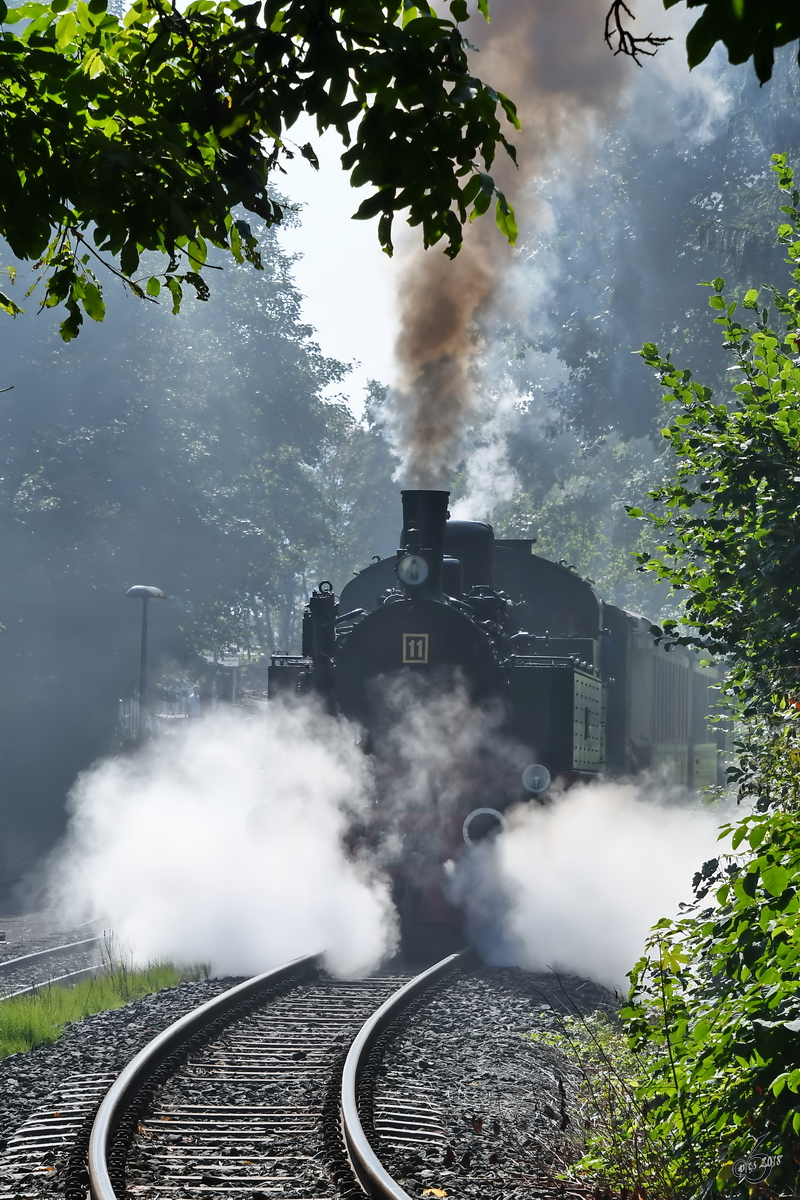 Die Malletlok 11SM schnauft eine kleine Steigung hinauf. (Brohl-Lützing, August 2018)