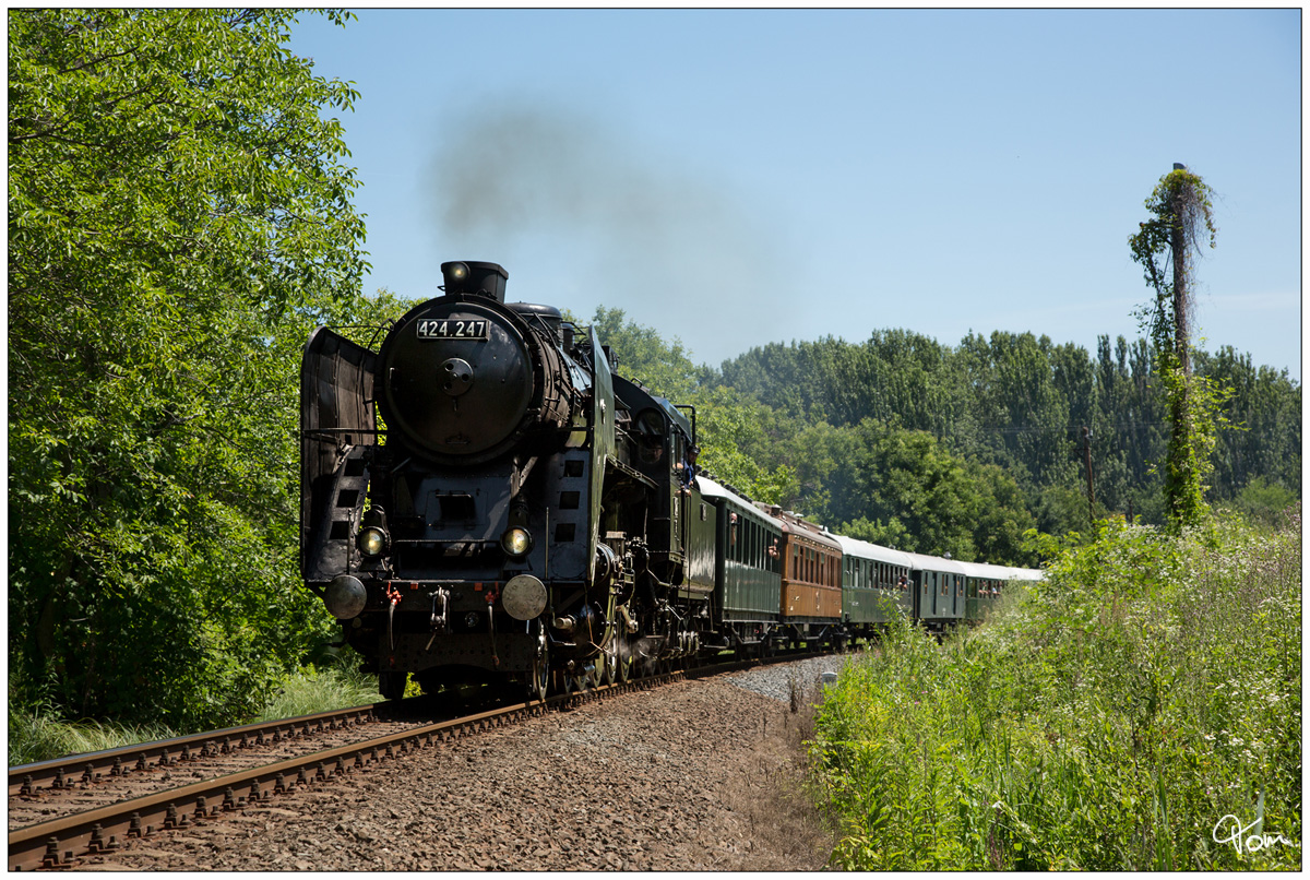 Die MAV Dampflok 424 247 fährt mit einem Sonderzug von Budapest, vorbei am Plattensee (Balaton) nach Tapolca. 
Révfülöp 29.06.2019