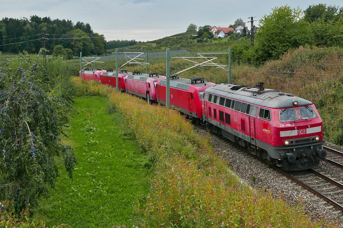 Die Messfahrten zwischen Lindau und Hergatz sind vorber und 218 456-2 zieht 145 018-8, 145 044-4, 145 023-8 und 182 506-6 am 24.09.2020 von Lindau kommend nach Ulm.