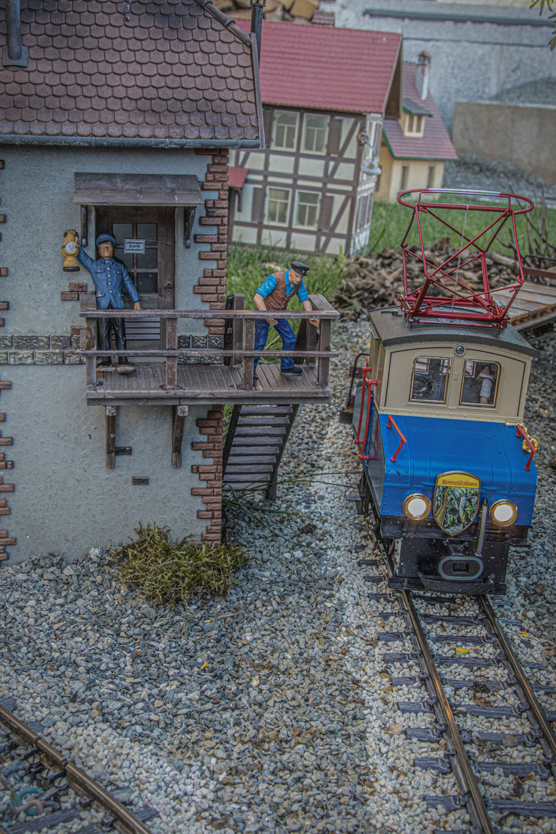 Die Mixnitz E1 auf dem Weg durch Gebüsch und Gras ,.... 
17.08.2019