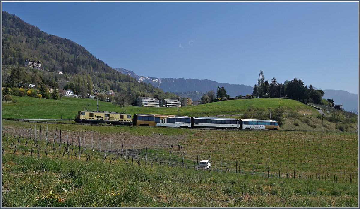 Die MOB GDe 4/4 6003 mit einem etwas verkürzten GoldenPass Panoramique Express in den Rebbergen oberhalb von Montreux zwischen Châtelard VD und Planchamp auf dem Weg nach Zweisimmen. 

14. April 2020
