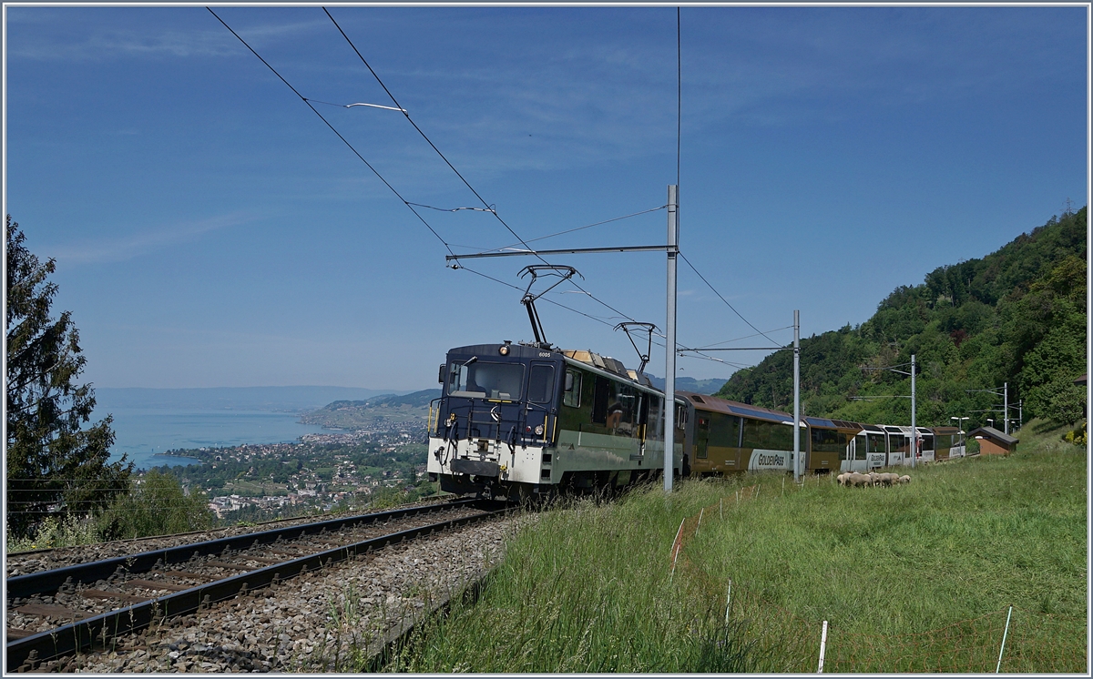 Die MOB GDe 4/4 6005 ist mit dem aus vier Wagen bestehenden PE 2122 von Montreux nach Zweisimmen unterwegs und nicht nur die Fahrgäste könne bei Sonzier die grandiose Aussicht geniessen.

9. Mai 2020
