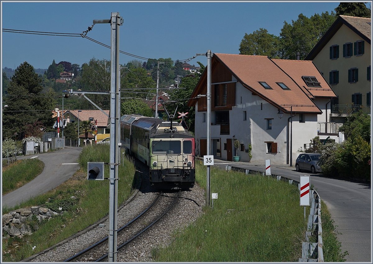 Die MOB GDe 4/4 6006 ist bei Planchamp mit einem GoldenPass Panoramique Express von Zweisimmen nach Montreux schon fast am Ziel seiner Fahrt. 

1983 lieferte die Schweizerischen Lokomotiv- und Maschinenfabrik (SLM) und Brown, Boveri & Cie. sechs GDe 4/4 an die MOB und GFM (heute TPF). Die MOB erhielt vorerst vier Lok, die GFM zwei GDe 4/4. Durch den Rückgang des Güterverkehrs Mitte der 2000 übernahm die MOB von der GFM/TPF die beiden GDe 4/4 6005 und 6006. Die beiden Lok hatten bedeutend weniger Kilometer 
zurückgelegt, als ihre MOB Schwestern und ist geplant, die beiden Lok im Dienst- und Bauzugdienst noch einige Jahre zu behalten (Während die MOB 6001- 6004 verwertet werden). 

22. April 2020
